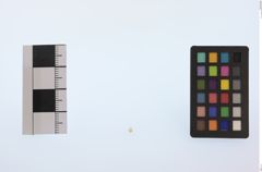 Foto von Diamant (NHMW-MIN-Ab2459)